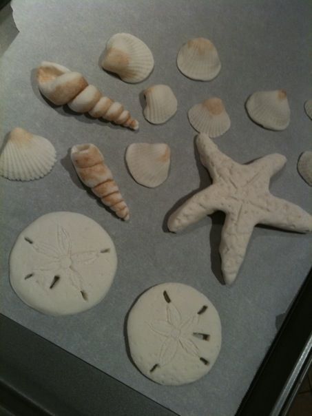 Gum Paste Seashells