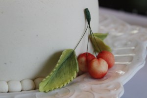 Engagement Party_0109